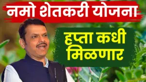 नमो शेतकरी महासन्मान निधीचा ८वा हप्ता कधी येणार? ; शेतकऱ्यांसाठी महत्त्वाची माहिती समोर