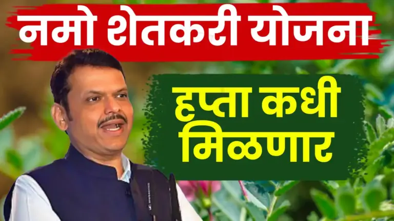 नमो शेतकरी महासन्मान निधीचा ८वा हप्ता कधी येणार? ; शेतकऱ्यांसाठी महत्त्वाची माहिती समोर